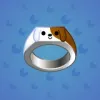 Signet Ring #1884