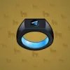 Signet Ring #2097