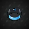 Signet Ring #2145