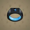 Signet Ring #224