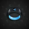 Signet Ring #2297