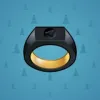Signet Ring #2331