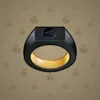 Signet Ring #2414