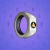 Signet Ring #2538