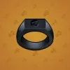 Signet Ring #265