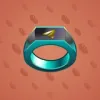 Signet Ring #2697