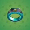 Signet Ring #2757