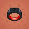 Signet Ring #289