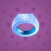 Signet Ring #2899