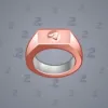 Signet Ring #298