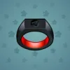 Signet Ring #3045