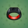 Signet Ring #314