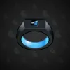 Signet Ring #3246
