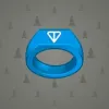 Signet Ring #3253