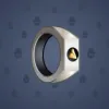Signet Ring #333