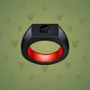 Signet Ring #336