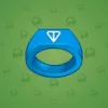 Signet Ring #338