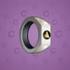Signet Ring #3408
