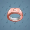 Signet Ring #341