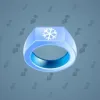 Signet Ring #3518