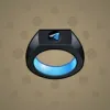 Signet Ring #360