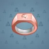 Signet Ring #369