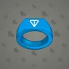 Signet Ring #3781