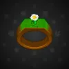 Signet Ring #4049