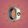 Signet Ring #412