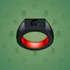 Signet Ring #4226