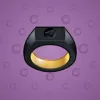 Signet Ring #424