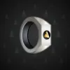 Signet Ring #4305