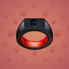 Signet Ring #4378