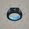 Signet Ring #4420