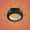 Signet Ring #448
