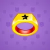 Signet Ring #4534