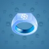 Signet Ring #4702