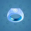 Signet Ring #4790