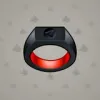 Signet Ring #483