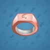 Signet Ring #4842
