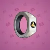 Signet Ring #4854