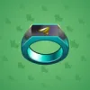 Signet Ring #491