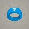 Signet Ring #4934