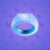 Signet Ring #507