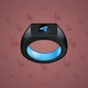 Signet Ring #543