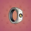 Signet Ring #569