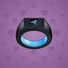 Signet Ring #5893