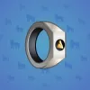 Signet Ring #5970