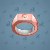 Signet Ring #6207
