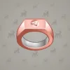 Signet Ring #6368
